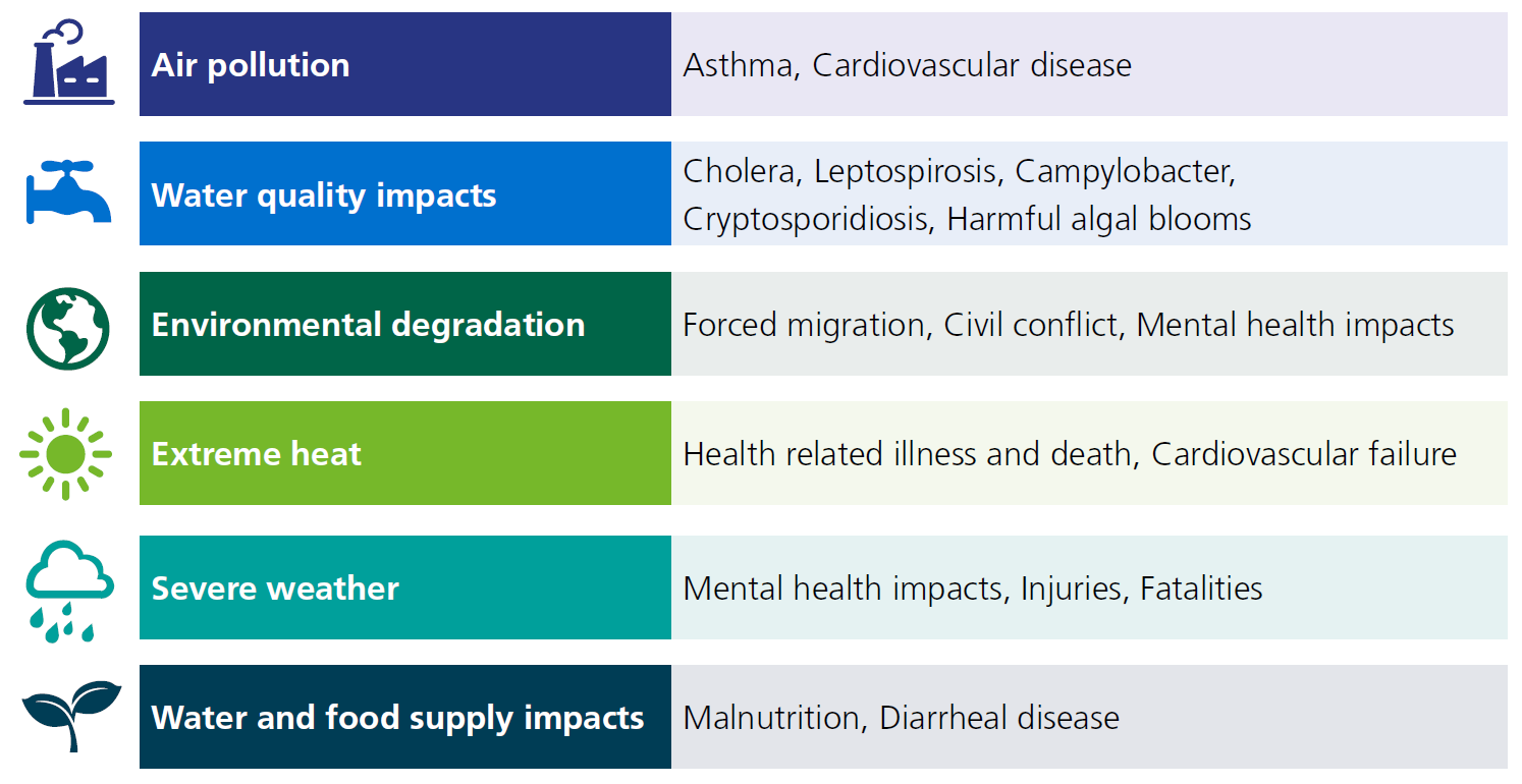 An infographic about the effects of climate change on health.