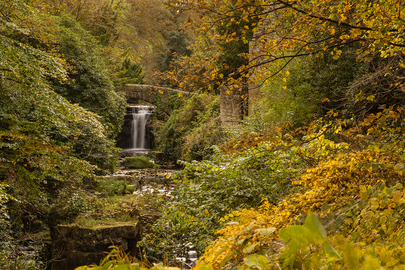 Jesmond Dene