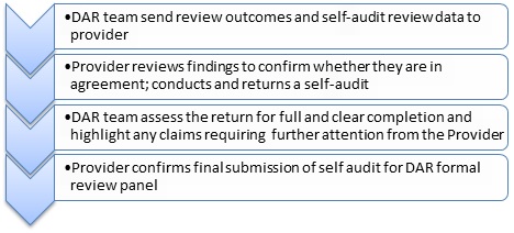 Self Audit Process